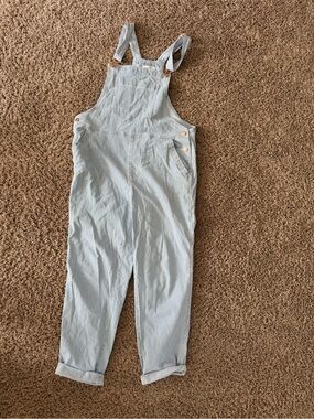 Universal Thread Light Blue Pinstripe Overalls